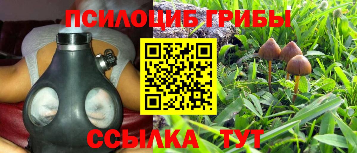 Псилоцибиновые грибы Magic Shrooms Мыски